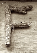 Wall_Art_Alphabet_Photography_Art_ 594